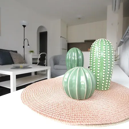 Terrasol Con Cactus Monsenor * Mogán