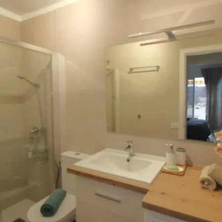 Terrasol Con Cactus Monsenor