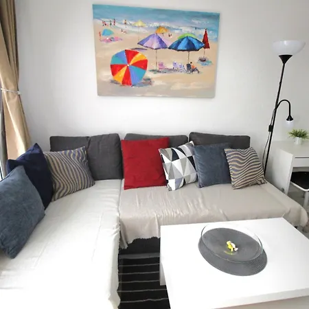 Terrasol Con Cactus Monsenor