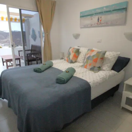 Terrasol Con Cactus Monsenor *